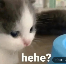 Hehe Cat